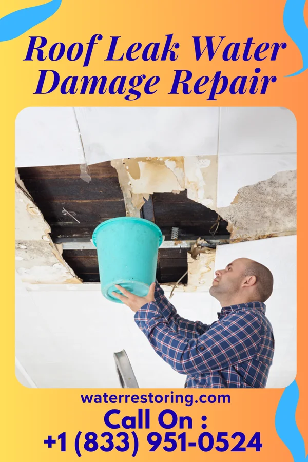 Roof Leak Water Damage Repair in Johnsonburg, PA