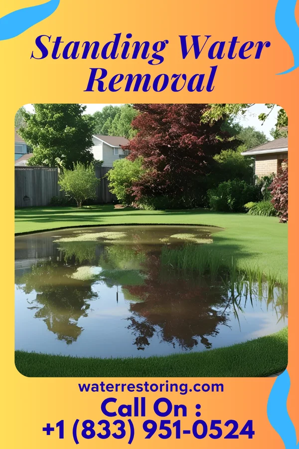 Standing Water Removal in Johnsonburg, PA